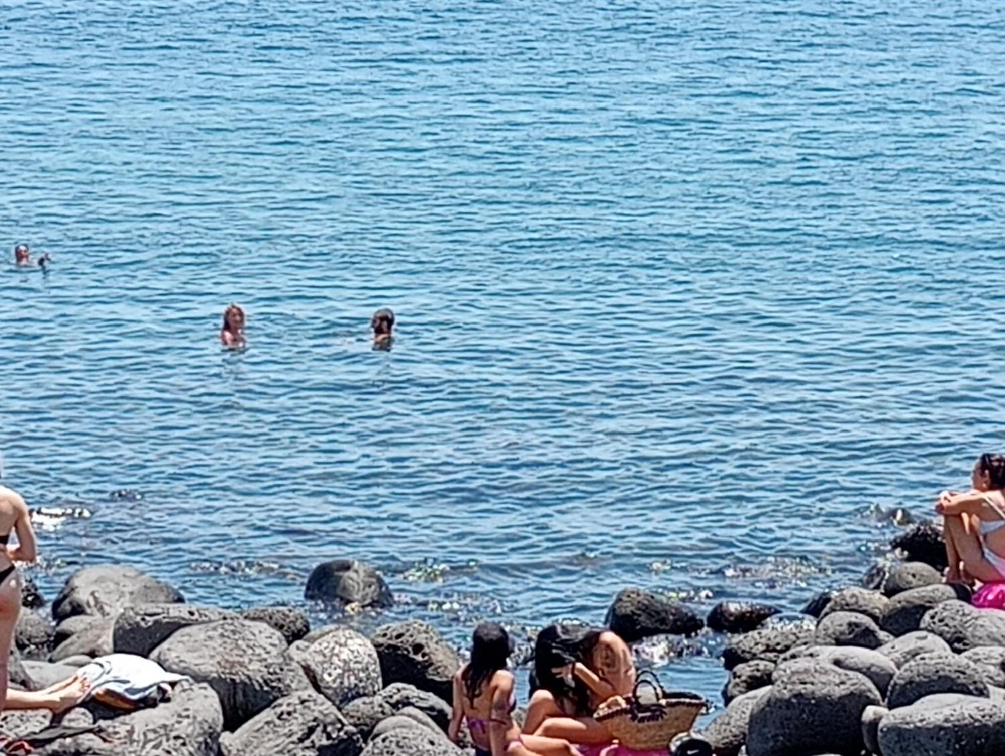 Mamis Villa Catania Bagian luar foto